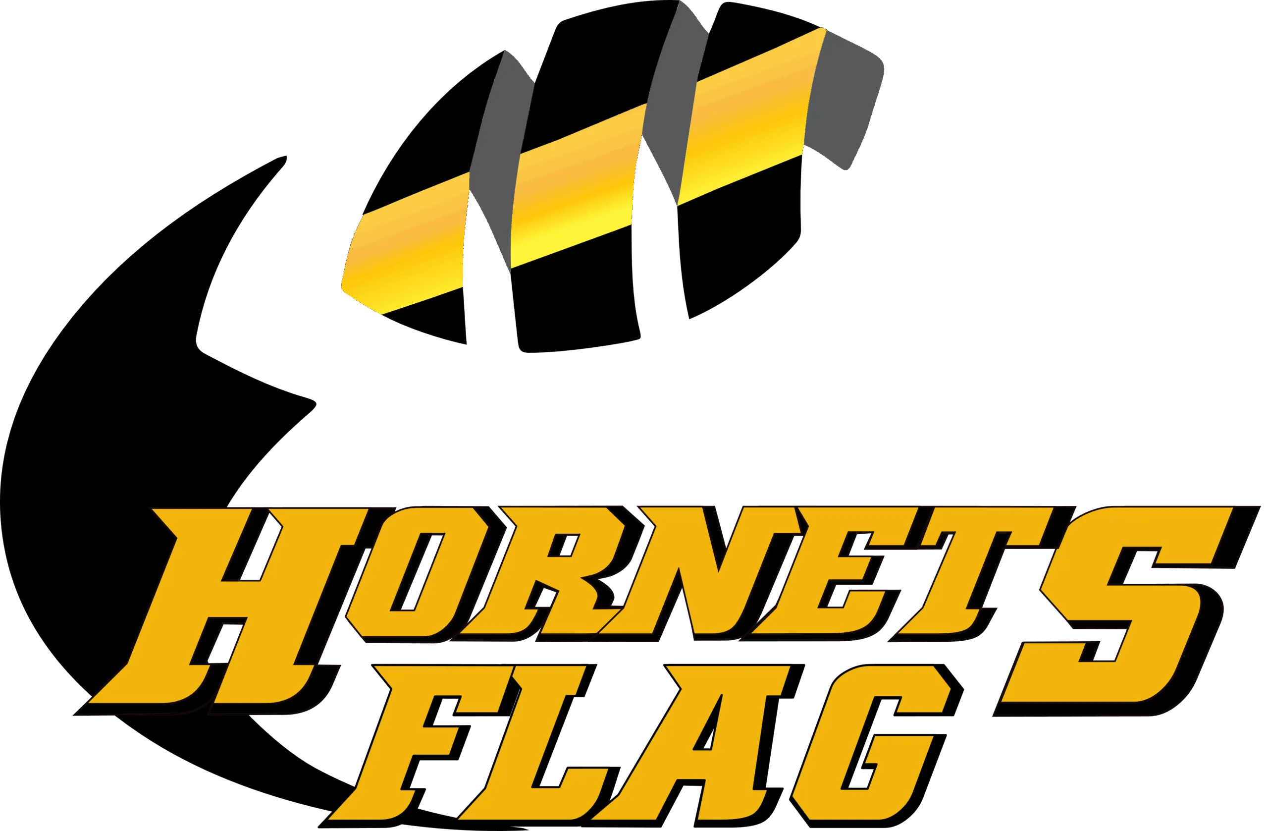 Flag-Hornets-scaled